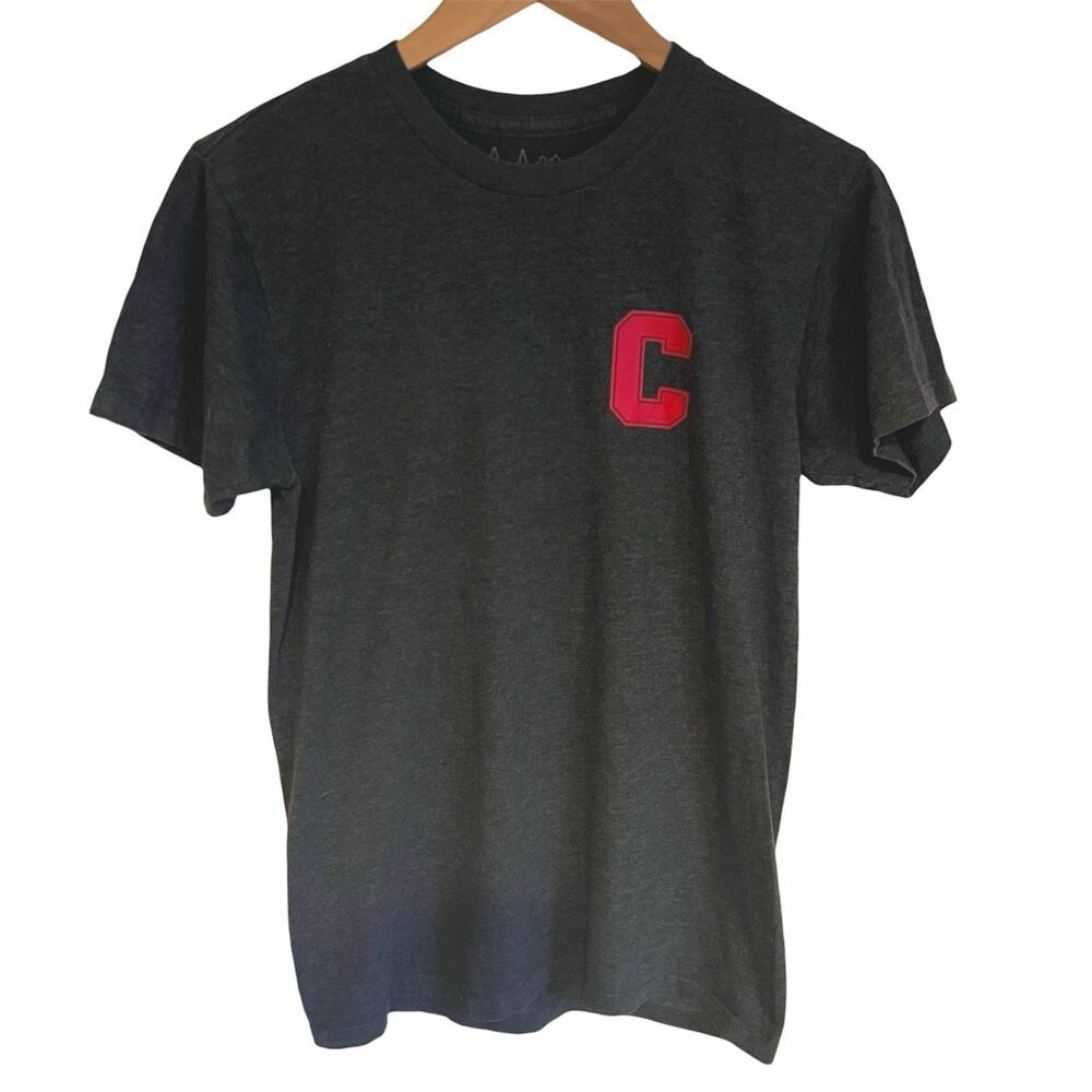 Cornell University Big Red T-Shirt Men’s Small Gray Ivy League Preppy Tee